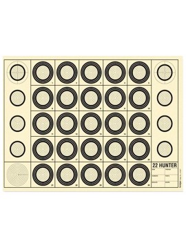 CIBLE BENCHREST 22 HUNTER 42 X 29,7 CM