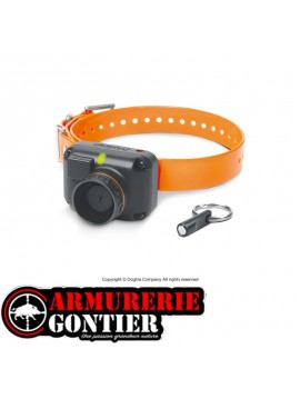 Colliers beeper à distance DOGTRA STB BEEPER L