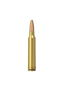 300 WIN MAG