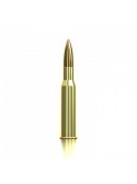  7.62 x 54 R