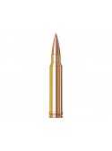 338 winchester magnum