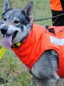 Gilets de protection & Autres