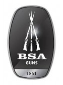 BSA